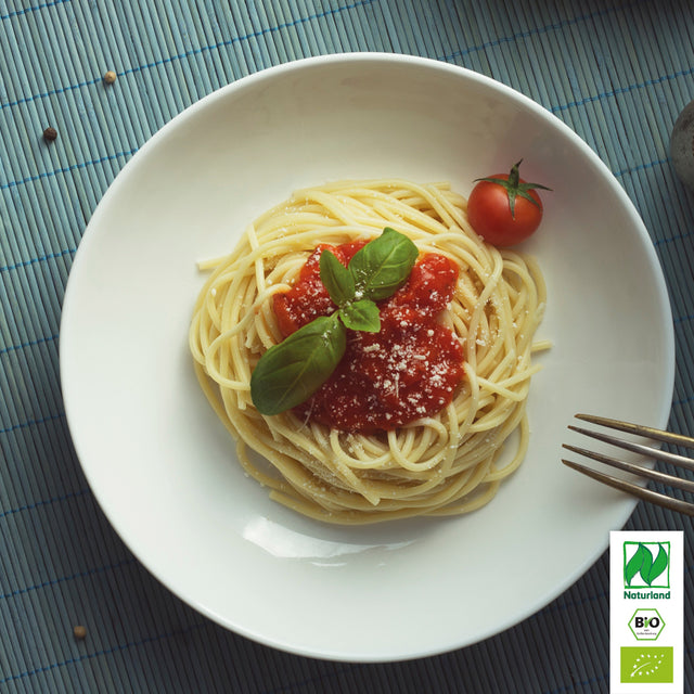 Bio Basilikum Gorbatschov (Russisches Strauch-Basilikum) Kräuterpflanze - Ocimum x basilicum