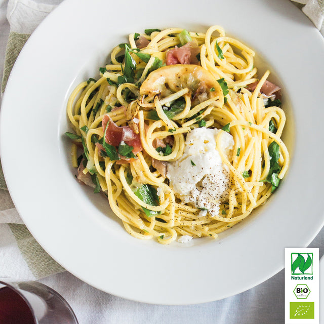 Bio Basilikum Tulsi (Heiliges Basilikum / Indisches Basilikum) Kräuterpflanze - Ocimum tenuiflorum