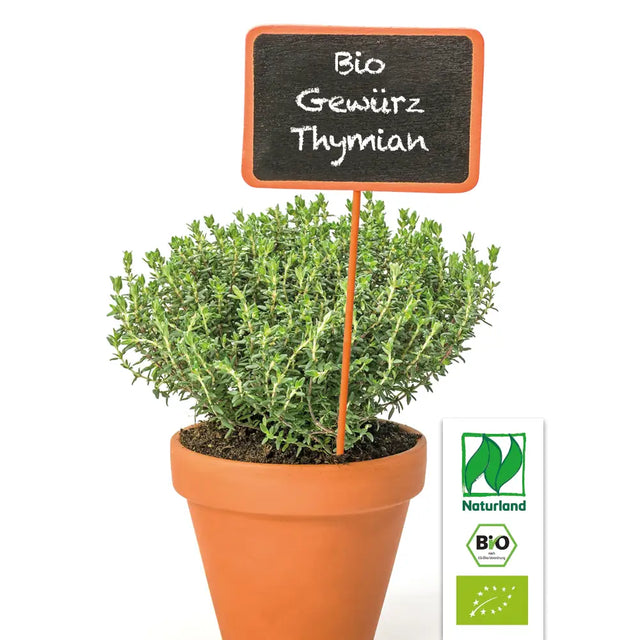 Bio Gewürz Thymian