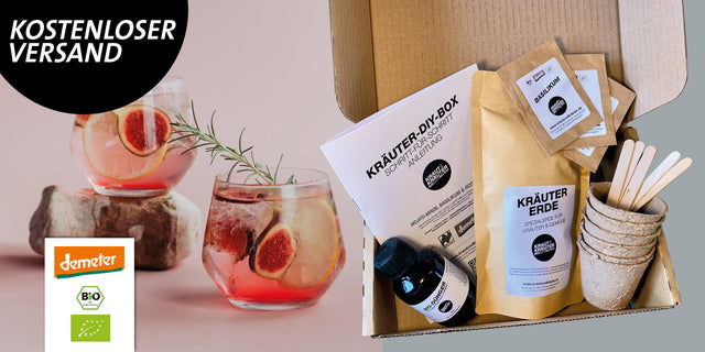 Kräuter-DIY-Box Cocktail-Abend