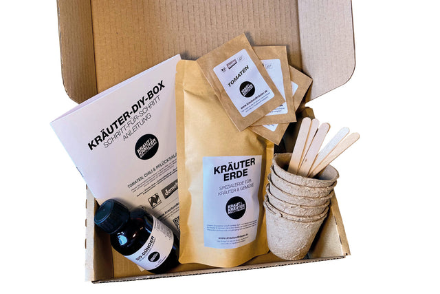 Kräuter-DIY-Box Salat Gemüse