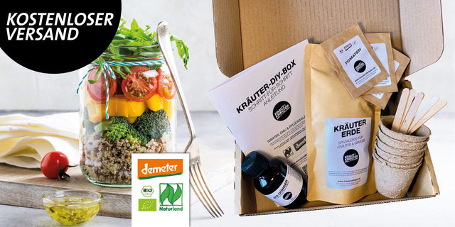Kräuter-DIY-Box Salat Gemüse