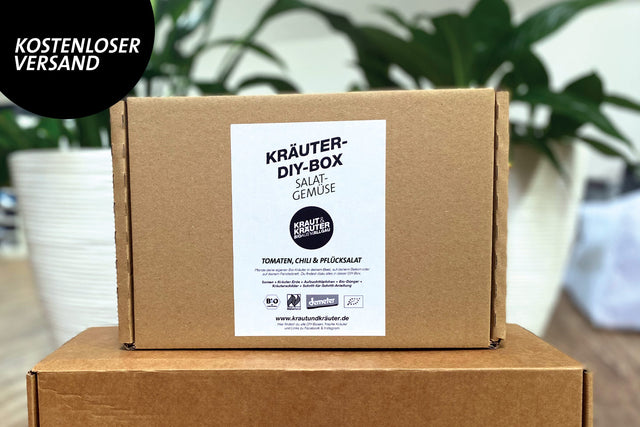 Kräuter-DIY-Box Salat Gemüse