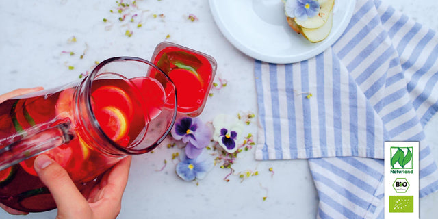 Bio Limo-Pflanze (Lemonenysop) KrÀuterpflanze - Agastache mexicana