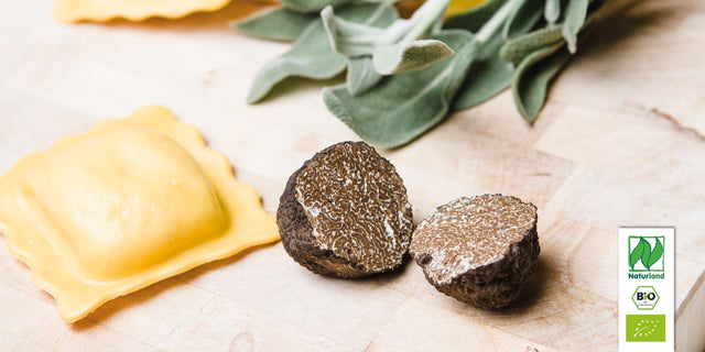 Bio Salbei Berggarten (Gewürz-Salbei) Kräuterpflanze - Salvia officinalis