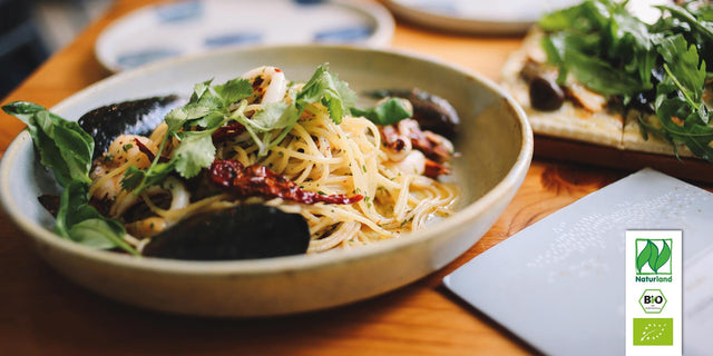 Scharfer Bio Oregano (Hot & Spicy) KrÀuterpflanze - Origanum Hybride